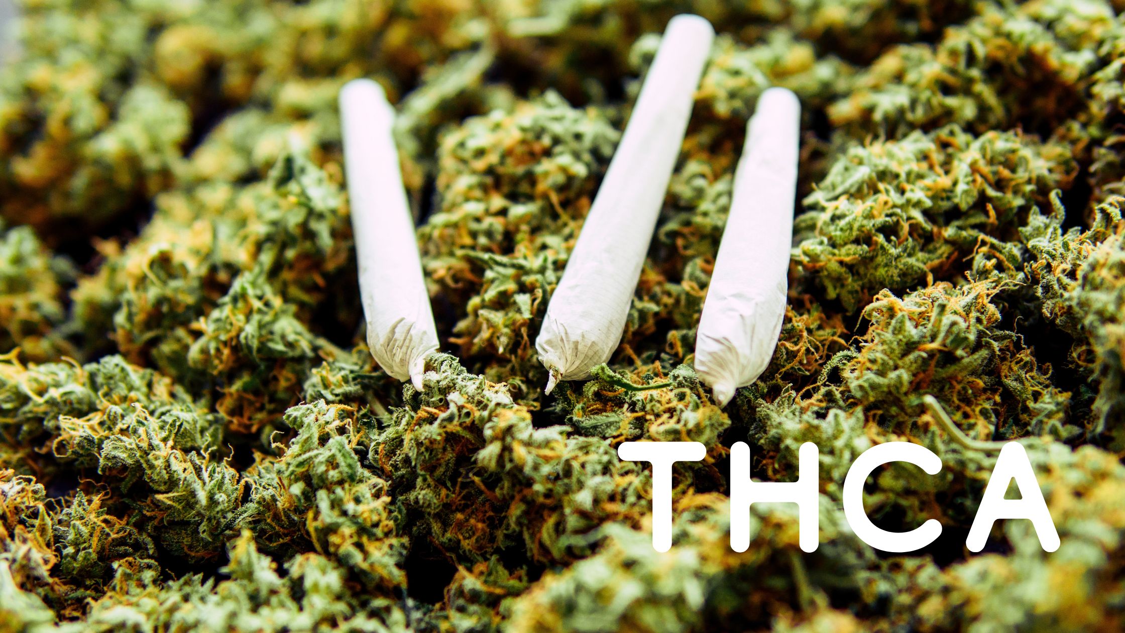 Does THCA Produce a High? Uncovering the Truth